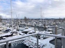 Freezing Marina from on High: We arrived in Portland on Feb. 5th met by the lowest temps in 30 years.  The average daily highs were in the 20